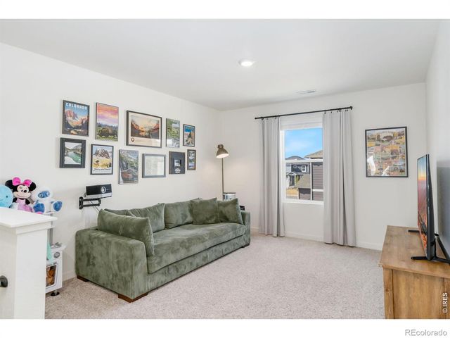 3746 Foxbrush Street, Wellington, CO 80549