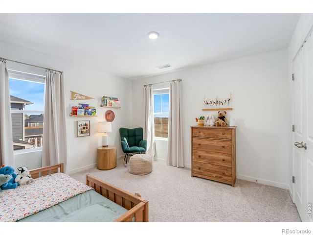 3746 Foxbrush Street, Wellington, CO 80549