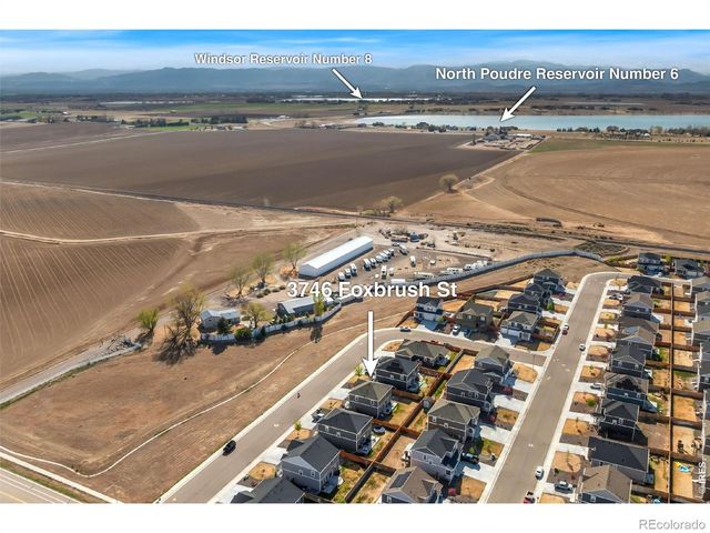 3746 Foxbrush Street, Wellington, CO 80549