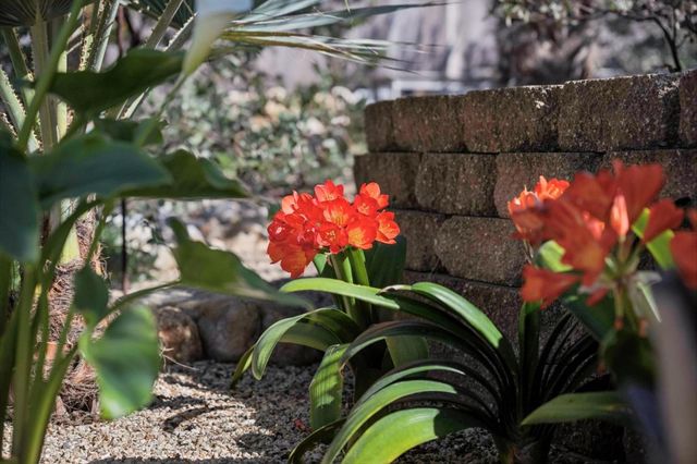 217 Edinburgh Avenue, Monterey, CA 93940