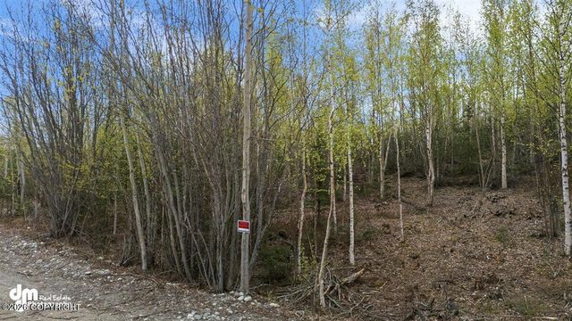 638 S Harlindon Dale Circle, Wasilla, AK 99654