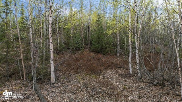 638 S Harlindon Dale Circle, Wasilla, AK 99654