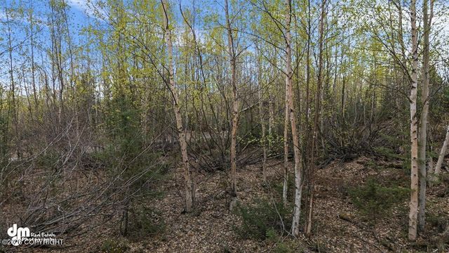638 S Harlindon Dale Circle, Wasilla, AK 99654