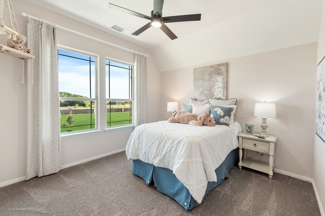 809 Twin Pine Court, Anna, TX 75409