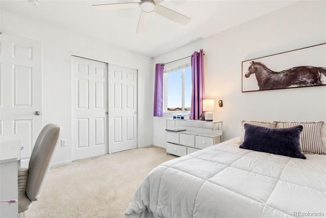 6516 Copper Drive, Erie, CO 80516