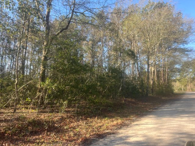 379 Chestnut Road, Walterboro, SC 29488
