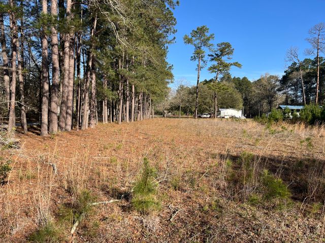 379 Chestnut Road, Walterboro, SC 29488