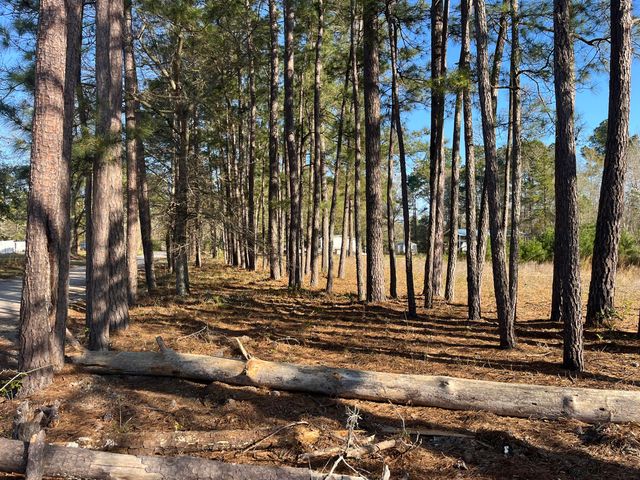 379 Chestnut Road, Walterboro, SC 29488
