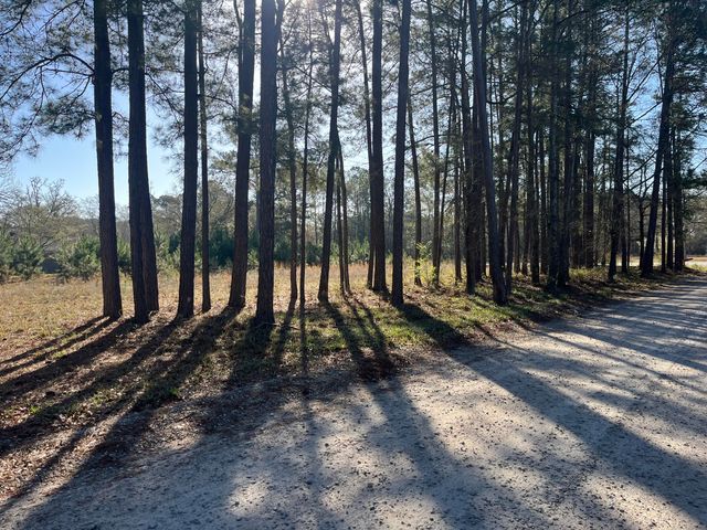 379 Chestnut Road, Walterboro, SC 29488