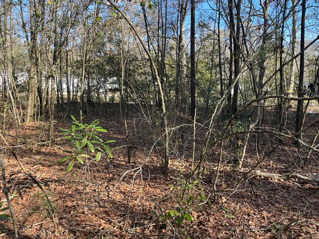 379 Chestnut Road, Walterboro, SC 29488