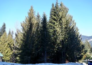 0 - Lot 56 Snoqualmie Drive, Snoqualmie Pass, WA 98068