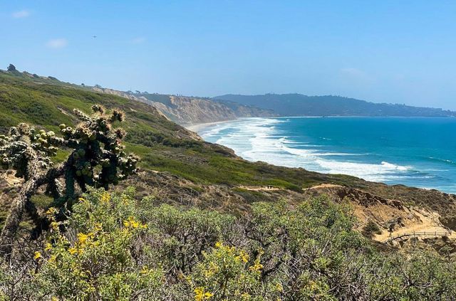 13754 Mango Drive 111, Del Mar, CA 92014