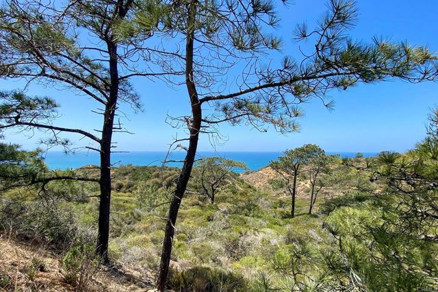 13754 Mango Drive 111, Del Mar, CA 92014