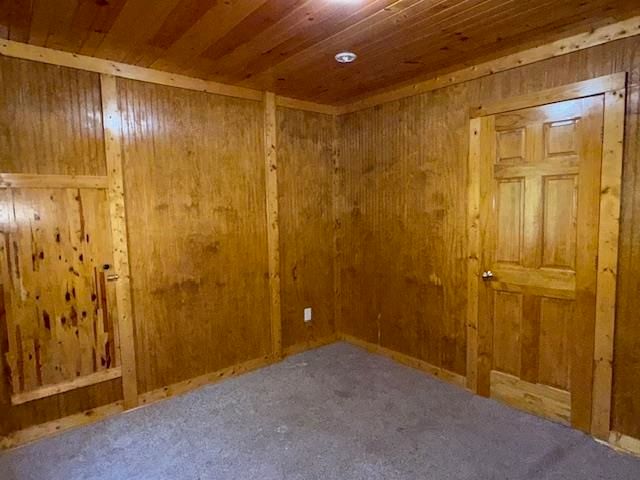 7861 N Bass Lake Road, Irons, MI 49644