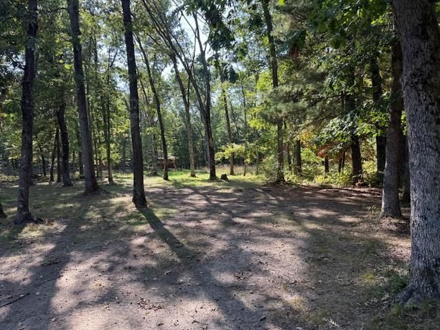 7861 N Bass Lake Road, Irons, MI 49644