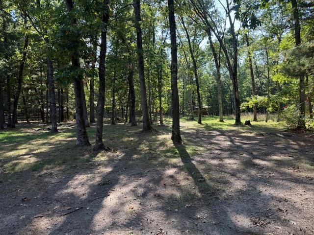 7861 N Bass Lake Road, Irons, MI 49644