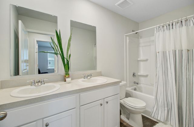 245 Blue Haw Drive, Moncks Corner, SC 29461