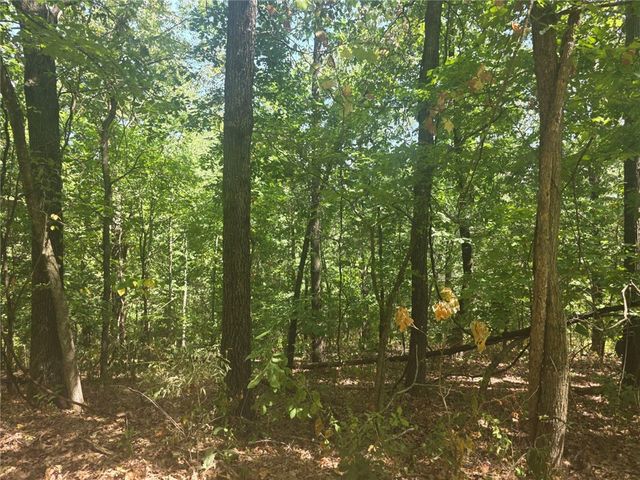 Lot 8, Block 5 Halford Circle, Bella Vista, AR 72715