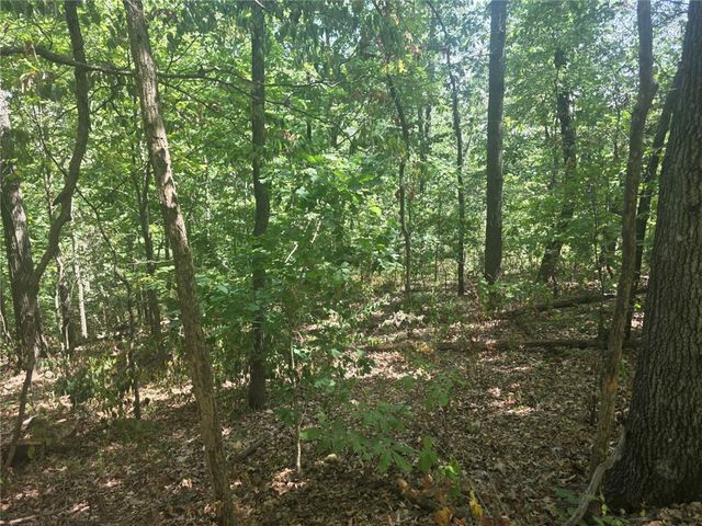 Lot 8, Block 5 Halford Circle, Bella Vista, AR 72715