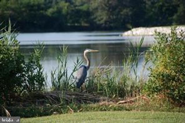 101 BEACHSIDE DR, Stevensville, MD 21666