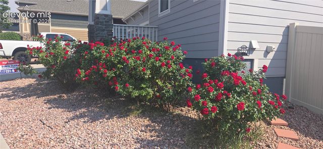 1491 Grand Overlook Street 11102069, Colorado Springs, CO 80910