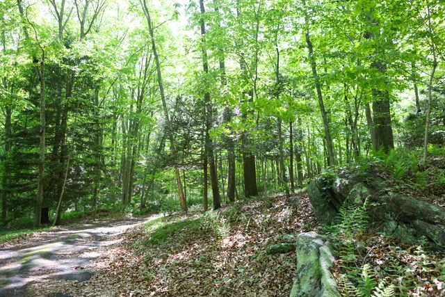 134 Meadow Woods Road, Deep River, CT 06417