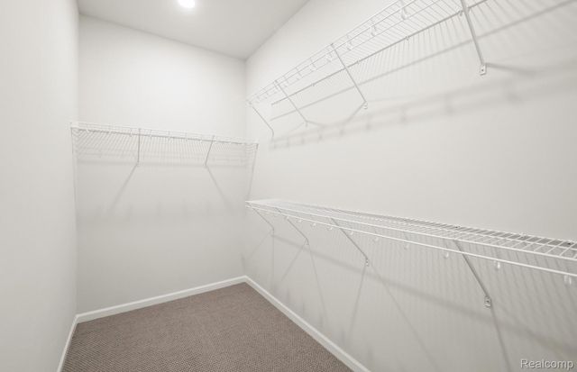 3401 Beech Bark Court, Milford Charter Township, MI 48381