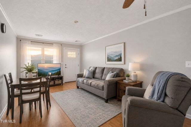 360 Trigg Street, Abingdon, VA 24210