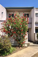 3254 Ashford St H, San Diego, CA 92111