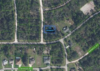 1133 Cockatoo Avenue, Lake Placid, FL 33852