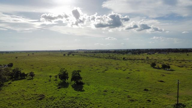 CR308 Fm1163, El Campo, TX 77437