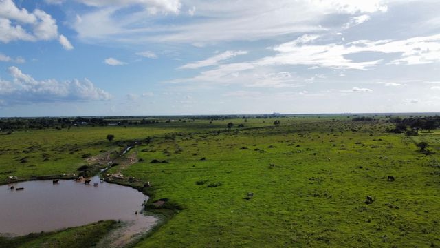 CR308 Fm1163, El Campo, TX 77437