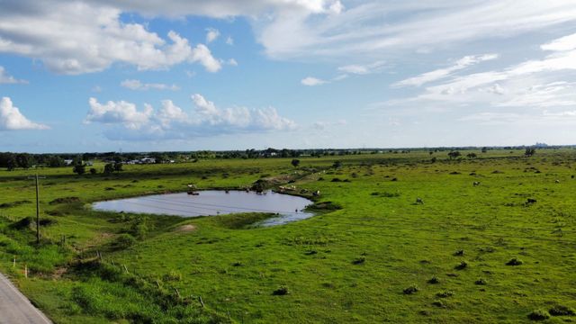 CR308 Fm1163, El Campo, TX 77437