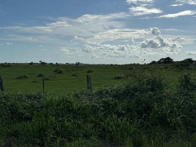 CR308 Fm1163, El Campo, TX 77437