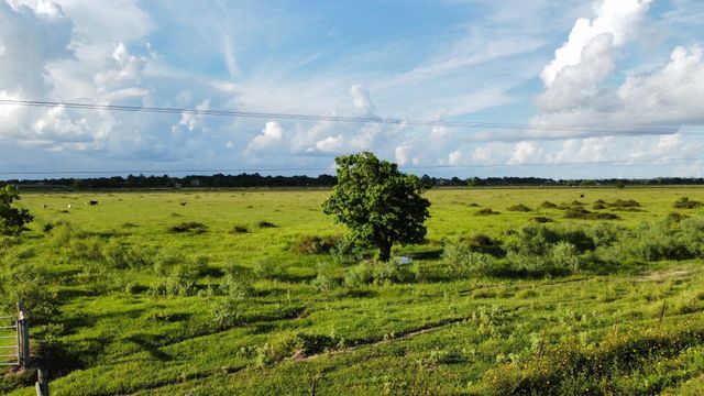 CR308 Fm1163, El Campo, TX 77437