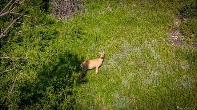 12711 Buckhorn Road, Loveland, CO 80538
