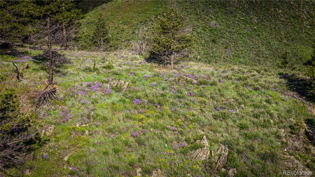 12711 Buckhorn Road, Loveland, CO 80538