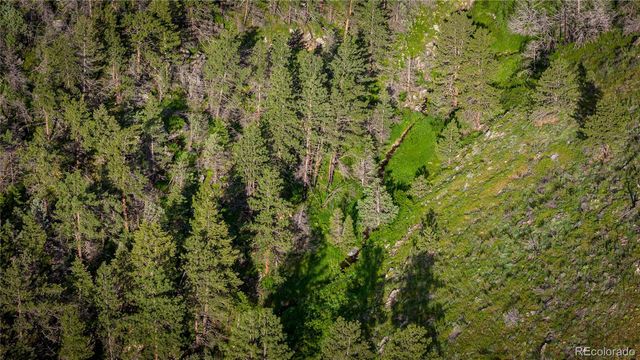 12711 Buckhorn Road, Loveland, CO 80538