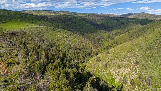 12711 Buckhorn Road, Loveland, CO 80538