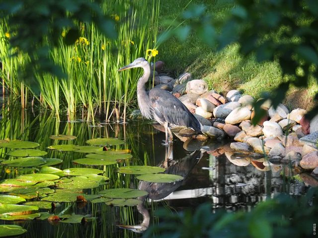 301 Fairfield Ln, Louisville, CO 80027