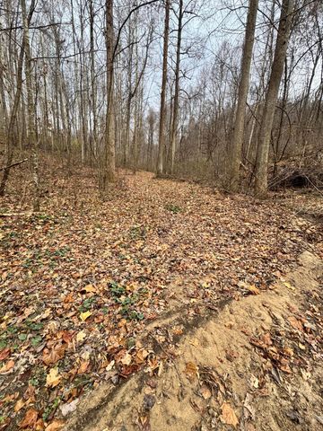 7099 Furnace Road, Stanton, KY 40380