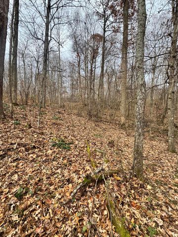 7099 Furnace Road, Stanton, KY 40380