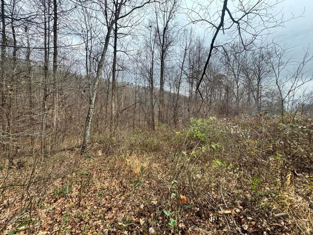 7099 Furnace Road, Stanton, KY 40380