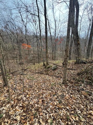 7099 Furnace Road, Stanton, KY 40380