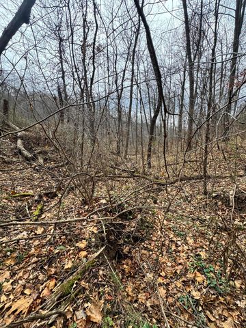 7099 Furnace Road, Stanton, KY 40380