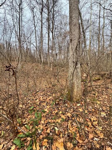 7099 Furnace Road, Stanton, KY 40380