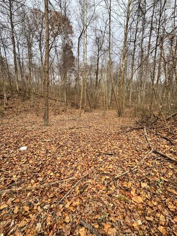 7099 Furnace Road, Stanton, KY 40380