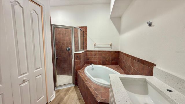 3403 CHAPEL CREEK CIRCLE, Wesley Chapel, FL 33544