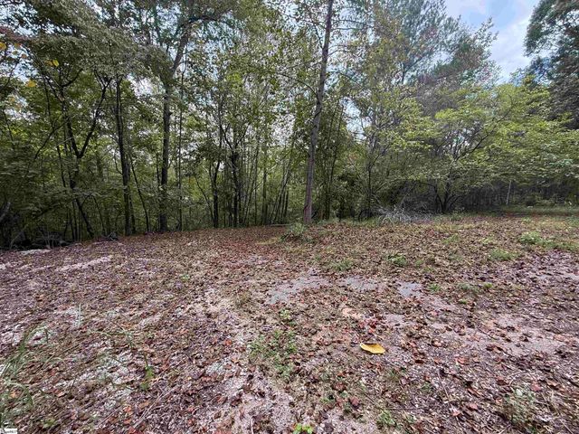 9000 U.S. 221 Highway, Woodruff, SC 29388