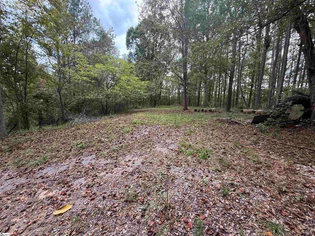 9000 U.S. 221 Highway, Woodruff, SC 29388